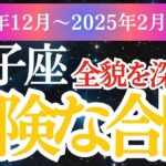 【獅子座】運命の転換期！2024年12月～2025年2月のしし座の総合運を占星術＆タロットで獅子座を大公開