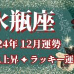 【みずがめ座】12月運勢　今年No.1金運💰棚から牡丹餅のラッキー運🌈幸運の鍵は、人間関係の見直し【水瓶座 １２月】タロットリーディング