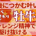 牡牛座🍀占い2024年今から12月終わりまで💗沸々と沸き上がる野望🎈絶対に勝ち取る意欲💫タロット＆オラクルカード【全体運】【人間関係】【仕事運】【恋愛運】【幸運の鍵】