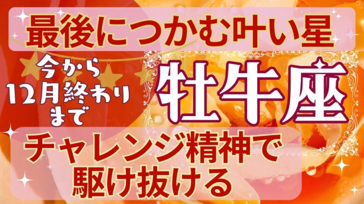 牡牛座🍀占い2024年今から12月終わりまで💗沸々と沸き上がる野望🎈絶対に勝ち取る意欲💫タロット＆オラクルカード【全体運】【人間関係】【仕事運】【恋愛運】【幸運の鍵】