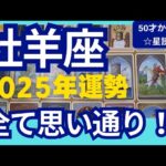 【牡羊座♈2025年運勢】奇跡の神展開！人生の第2章がはじまりスゴイ流れにのっていく！個人鑑定級のグランタブローリーディング（仕事運　金運）タロット＆オラクル＆ルノルマンカード