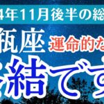 【2024年11月後半の水瓶座の運勢】星とタロットで読み解く恋愛運・金運・健康運・仕事運