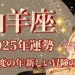 【やぎ座】2025年運勢　人生激変の年、新しい冒険の幕開け、幸運の鍵は、情報収集をすること【山羊座 ２０２５年】【年間保存版】タロットリーディング