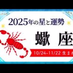 蠍座（さそり座）2025年の運勢｜全体運・恋愛運・仕事運・金運.