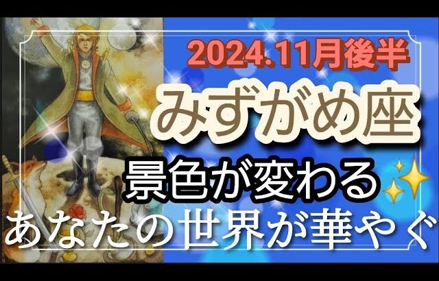 【11月後半🍀】水瓶座さんの運勢🌈景色がガラッと変わる！！あなたの世界が華やぎます✨✨嬉しいカードばかりです🎵