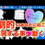 蠍　座🌹【ついに動き出す😭嬉しい急展開㊗️】見た瞬間から変化する❤️今がお辛くても最高の未来への流れを引き寄せステージアップの時🎇🌈深掘りリーディング#潜在意識#ハイヤーセルフ#蠍座