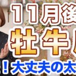 おうし座 11月後半の運勢♉️ / 大丈夫の太鼓判❗️思い立ったら即行動が開運行動🌈 今はフットワーク軽く動く時✨ 【トートタロット & 西洋占星術】