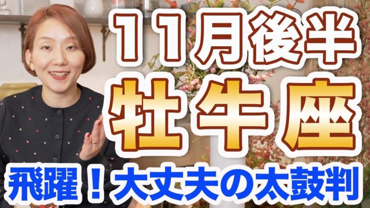 おうし座 11月後半の運勢♉️ / 大丈夫の太鼓判❗️思い立ったら即行動が開運行動🌈 今はフットワーク軽く動く時✨ 【トートタロット & 西洋占星術】