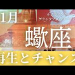 11月【蠍座】起こること～再生とチャンス～【ルノルマンカードリーディング＆アストロダイス】