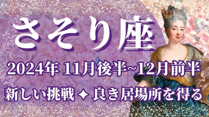 【さそり座】11月後半運勢　心機一転‼️新しい挑戦、良き居場所に辿り着きます🌈幸運の鍵は、ドキドキワクワクすること【蠍座 １１月】【タロット】