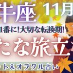 【牡牛座】個人鑑定級!! 動き出した運命!! もっと自由な世界へ🕊️✨【仕事運/対人運/家庭運/恋愛運/全体運】11月運勢  タロット占い