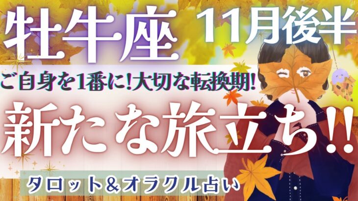 【牡牛座】個人鑑定級!! 動き出した運命!! もっと自由な世界へ🕊️✨【仕事運/対人運/家庭運/恋愛運/全体運】11月運勢  タロット占い