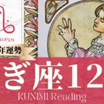 山羊座♑12月運勢✨先送りしていた問題に向き合えば結婚や契約成立🌟現状🌟仕事運🌟恋愛・結婚運🌟ラッキーカラー🌟開運アドバイス🌝月星座やぎ座さんも🌟タロットルノルマンオラクルカード