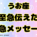 【魚座】今、まさに人生の大事な時にいるようです❣️❗️＃タロット、＃オラクルカード、＃当たる、＃占い、＃緊急