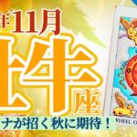 【牡牛座11月】大❣️大‼️大アルカナ祭り🥁骨太な変革と骨太な成長‼️支えるのは仲間と情報🎉 ✨🥳🎊🔮🧚2024タロット&オラクル《週ごと》