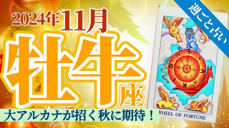 【牡牛座11月】大❣️大‼️大アルカナ祭り🥁骨太な変革と骨太な成長‼️支えるのは仲間と情報🎉 ✨🥳🎊🔮🧚2024タロット&オラクル《週ごと》