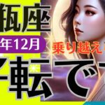 【水瓶座】2024年12月水瓶座/恋愛運・金運・仕事運#水瓶座 #みずがめ座/乗り越えられる/好転です