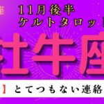 【驚愕😲】とてつもない連絡が届く❗️ 牡牛座　11月後半ケルトタロット占い#星座 #タロット#タロットカード#占い#ケルト #当たるタロット