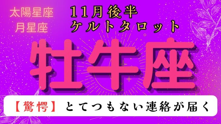 【驚愕😲】とてつもない連絡が届く❗️ 牡牛座　11月後半ケルトタロット占い#星座 #タロット#タロットカード#占い#ケルト #当たるタロット