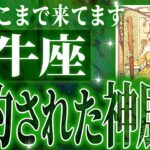 【緊急保存版】牡牛座さん人生最大の転機きます✨驚くほど順調な未来が待ってます【鳥肌級タロットリーディング】