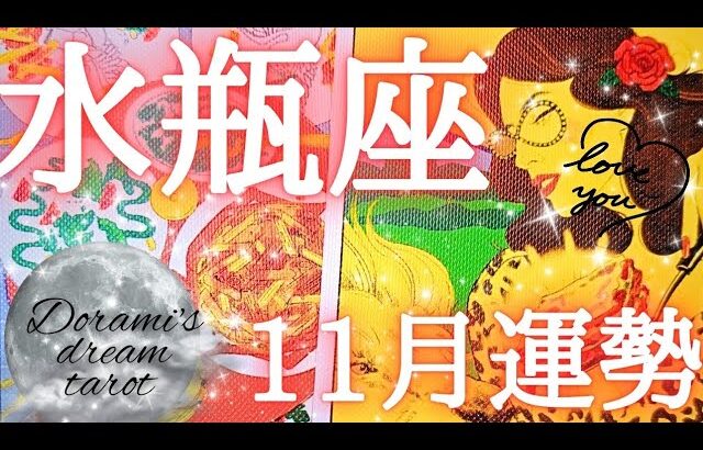 2024年水瓶座11月の運勢　時代がやってきた‼️大ジャンプ！！🌹🌹✨運命が動きます🔥抵抗せず逆手に取ってレベルアップ🍕🍝🥖✨総合、仕事、恋愛(人間関係)