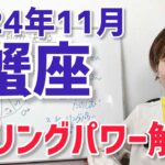 【2024年11月蟹座さんの運勢】ヒーリングパワー解放？！冥王星が去って存在感が変わったあなた【ホロスコープ・西洋占星術】