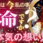 私は本命ですか？❤️激ガチ鑑定❤️本気のLOVE❤️結果あり💞【忖度一切なし♦︎有料鑑定級♦︎辛口あり】