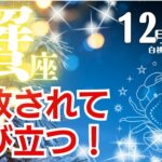 蟹座♋️2024年12月★解放されて飛び立つ！