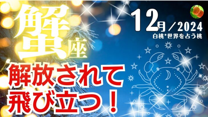 蟹座♋️2024年12月★解放されて飛び立つ！