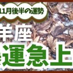 【牡羊座】2024年12月のおひつじ座の恋愛運・金運を占星術とタロットで占います。〜爆運急上昇〜