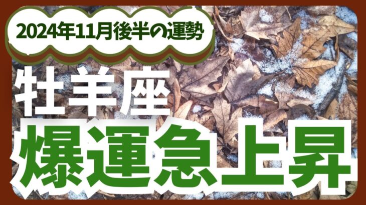 【牡羊座】2024年12月のおひつじ座の恋愛運・金運を占星術とタロットで占います。〜爆運急上昇〜