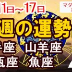 【今週の運勢11月11日から17日】射手座 山羊座 水瓶座 魚座