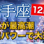 射手座12月運勢【全体運】来年に向けて激好転💫副業・事業成功のチャンス🔮仕事運・人間関係運・恋愛運・金運［タロット/オラクル/風水］