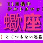 【驚愕😲】とてつもない連絡が届く❗️ 蠍座　11月後半ケルトタロット占い#星座 #タロット#タロットカード#占い#ケルト #当たるタロット