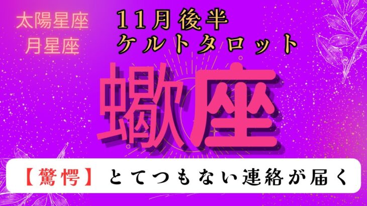 【驚愕😲】とてつもない連絡が届く❗️ 蠍座　11月後半ケルトタロット占い#星座 #タロット#タロットカード#占い#ケルト #当たるタロット