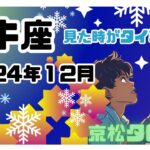 【牡牛座】2024年12月の運勢✨見た時がタイミング✨