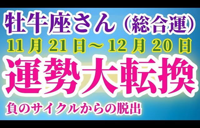 【牡牛座】 2024年11月21日から12月20日までのおうし座の総合運。星とタロットで読み解く未来 #牡牛座 #おうし座