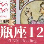 水瓶座♒12月運勢✨嫉妬されるくらいの大幸運🌟現状🌟仕事運🌟恋愛・結婚運🌟ラッキーカラー🌟開運アドバイス🌝月星座みずがめ座さんも🌟タロットルノルマンオラクルカード