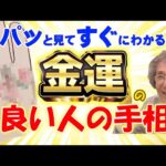 【手相占い】この人金運すごい！！！　とパッと見るだけでわかる手相とは？　考えうる限りの金運パターンを徹底解説！【手相家　西谷泰人　ニシタニショーVol.206】