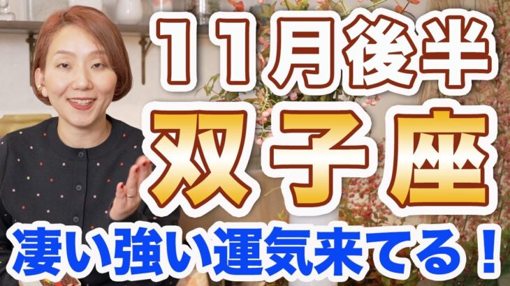 ふたご座 11月後半の運勢♊️ / めっちゃ強い運気来てる🌈 新たな人生のステージはもっと明るくて快適✨ 無理や我慢は全部手放していこう❗️【トートタロット & 西洋占星術】