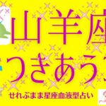 山羊座の人との付き合い方　恋人パートナー友人家族職場の人たちと付き合うコツなどを部分的ではありますが星座から探っていきます。星座占いと血液型占いでわかる 性格とあの人との相性 せれぶまま星座血液型占い