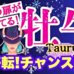 【牡牛座⭐️12月】チャンス到来！大好転☆幸運の扉がひらく【目醒めるカードリーディング.2024運勢】