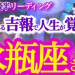 水瓶座 11月後半【新章の始まり！本当の自分を生きる】周囲と自分の変化を楽しんでいこう　　みずがめ座　2024年１１月運勢  タロットリーディング