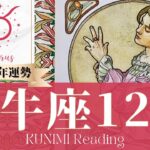 牡牛座♉12月運勢✨特にビジネスでは有終の美を飾れそう🌟現状🌟仕事運🌟恋愛・結婚運🌟ラッキーカラー🌟開運アドバイス🌝月星座おうし座さんも🌟タロットルノルマンオラクルカード