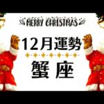 これは……蟹座必見すぎる😂どうあがいても良くなる・解決すること─観るだけで奇跡が起こる12月全体運勢♋仕事恋愛対人不安解消・評価や印象【個人鑑定級タロットヒーリング】