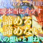 💕熱弁×リアル×辛口注意🍁この恋愛本当にキツすぎる!!この恋愛諦める？諦めない？～あの人の想い～🦋