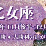 【おとめ座】11月後半運勢　大勝利運No.1💪先手必勝、成功への道が開けます🌈幸運の鍵は、自分の意見を伝えること【乙女座 １１月運勢】【タロット】