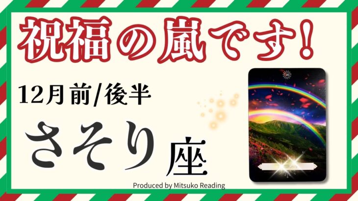 さそり座12月は神回です絶対見て❗️祝福の嵐と勝利宣言ホントおめでとう❗️前半後半仕事恋愛人間関係♏️【脱力系タロット占い】