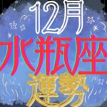 水瓶座♒️【12月運勢🔮✨】いよいよ形になる時💕🥺😍✨今まで頑張った物がついに…⁉️新しい扉を開けて!!✨💫