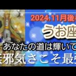 【11月後半🍀】魚座さんの運勢🌈あなたの道は輝いてる✨✨無邪気さこそ最強です💛